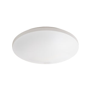 追加オプション(単品購入不可)